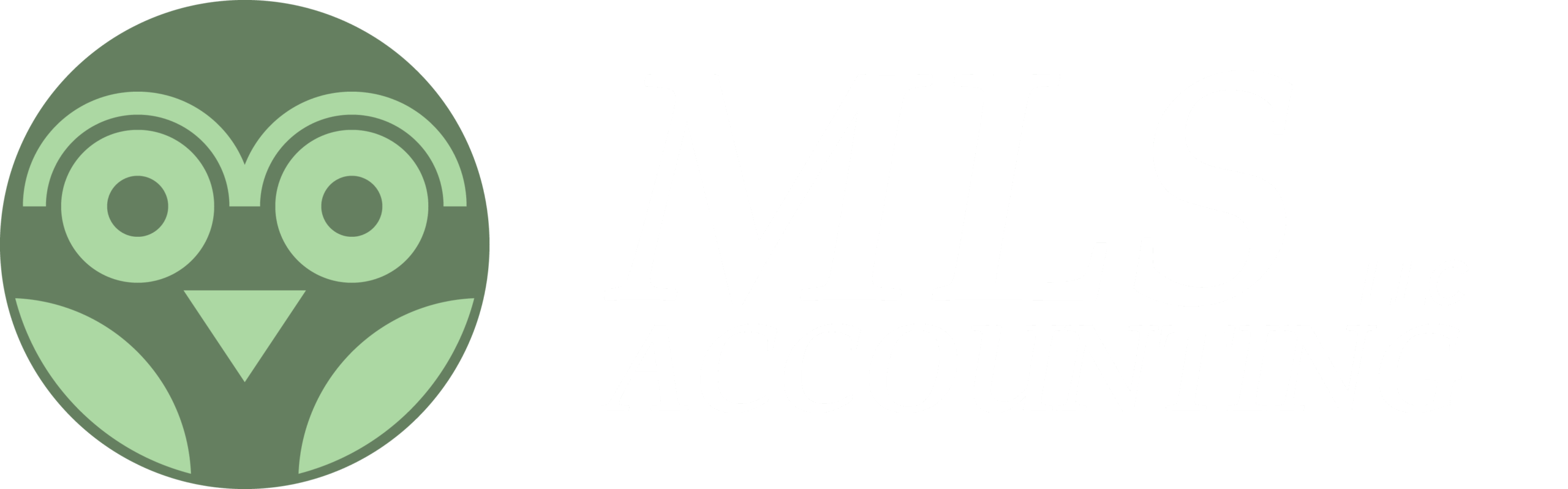 mls accounting llc formerly black rock financial services inc financing payroll tax perparation